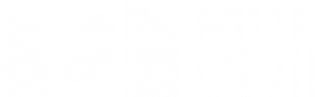 footerLogo